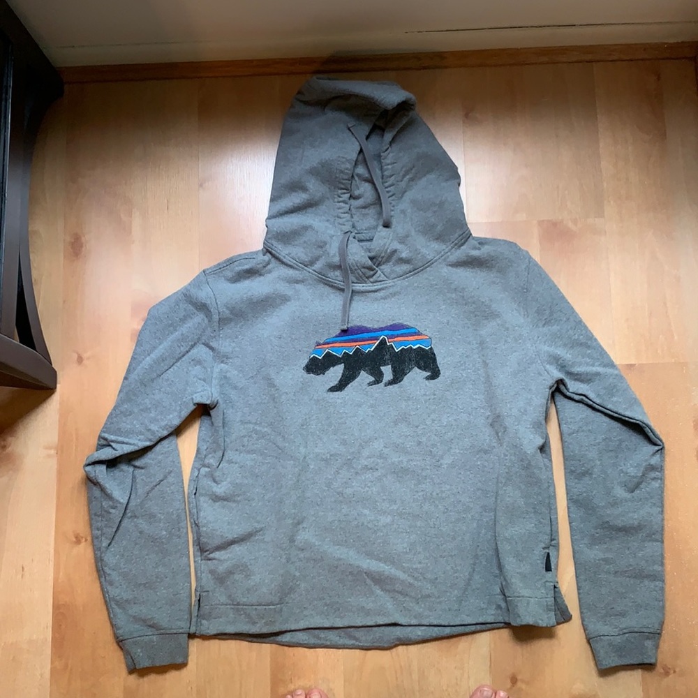 EUC Patagonia hoodie
